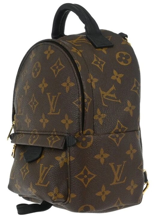 Louis Vuitton Palm Springs Mini Backpack M44873 CA2128 166938